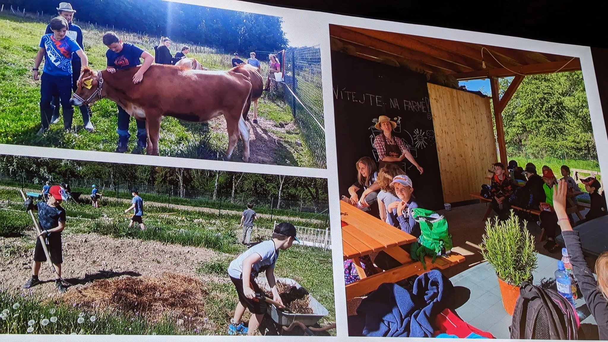 Fotografie z ročníku 2024